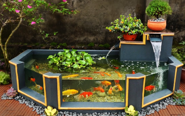 Aquarium outdoor dengan air terjun dan kolam kecil